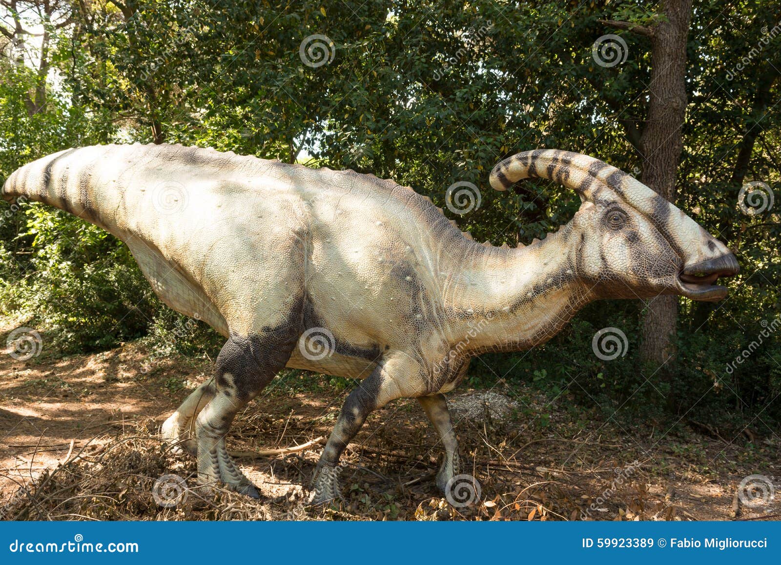 Pflanzenfressender Dinosaurier Mit Dem Horn Das Tone Ausstrahlt Stockbild Bild Von Horn Tone