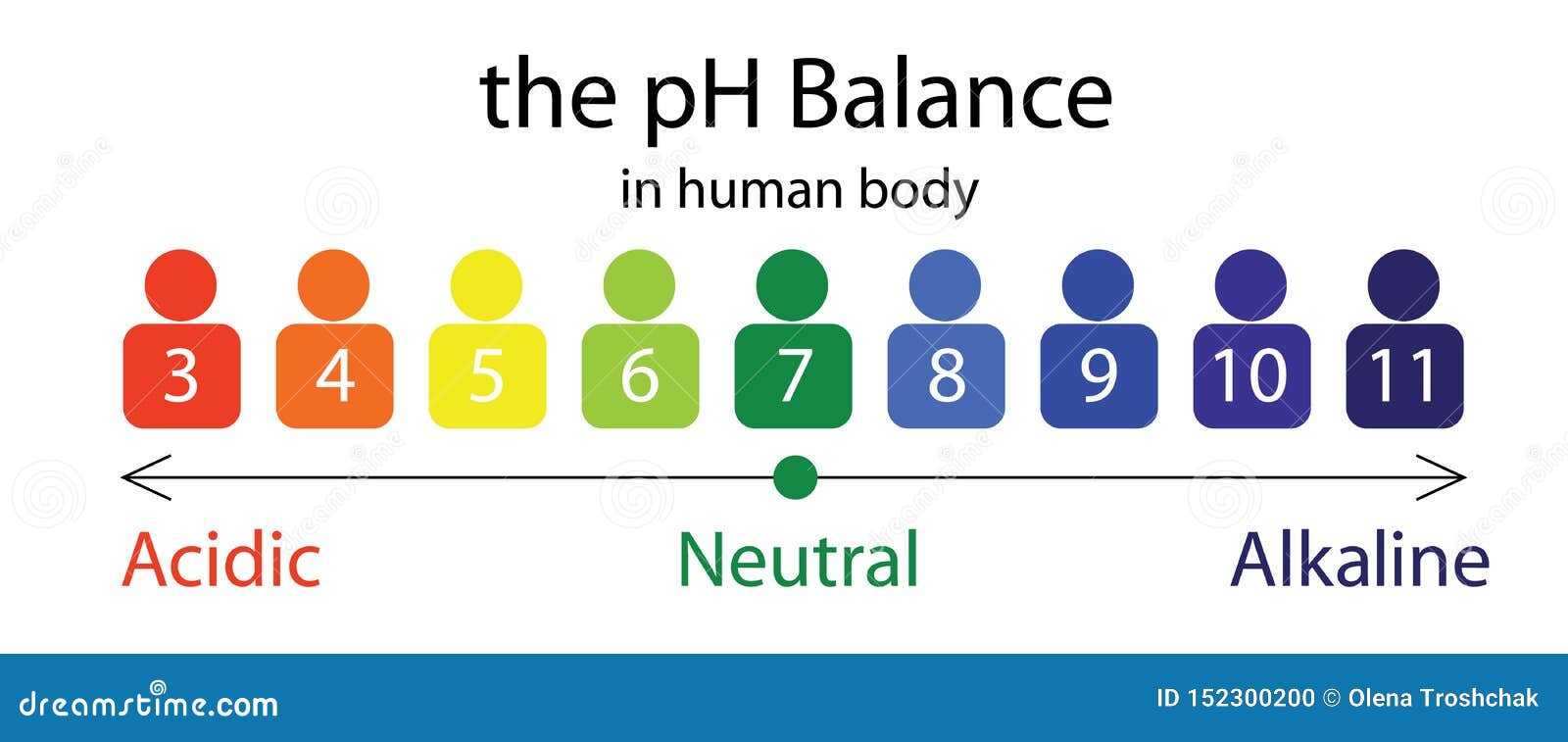 Ph Balance In Human Body