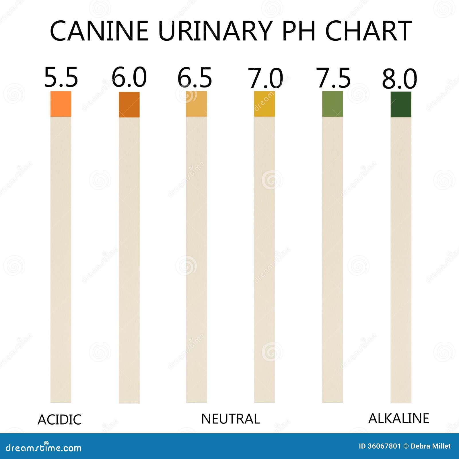 ph chart stock image image 36067801 s p logarithmic chart