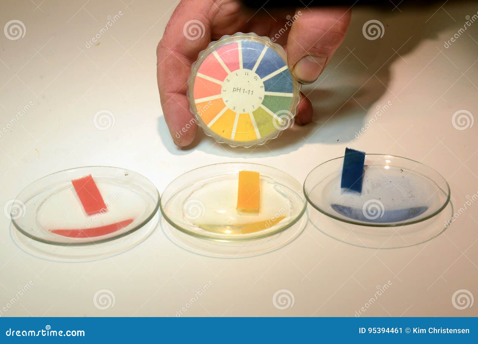 PH test with universal indicator paper - Stock Image - C033/2862