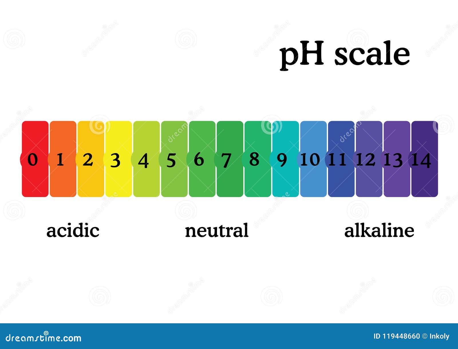 PH Scale Diagram with Corresponding Acidic or Alcaline Values. Universal PH  Indicator Paper Color Chart Stock Illustration - Illustration of liquid,  reaction: 119448660