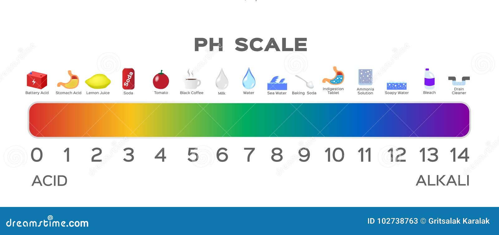 PH Scale. Litmus Paper Color Chart. Vector Illustration | CartoonDealer
