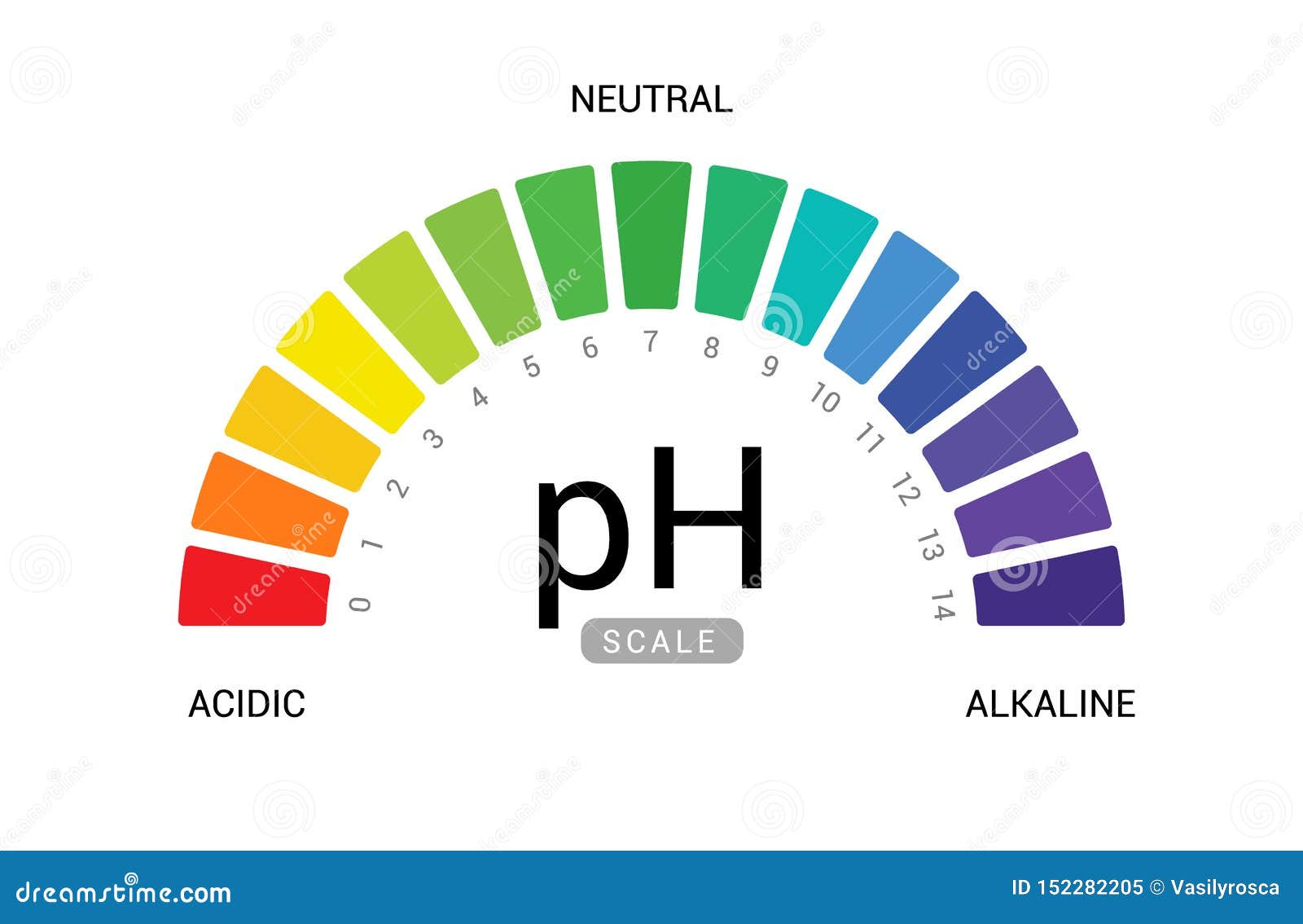 PH Scale. Indicator Of PH Value Expressing Rate Of Acidity Or Basicity ...