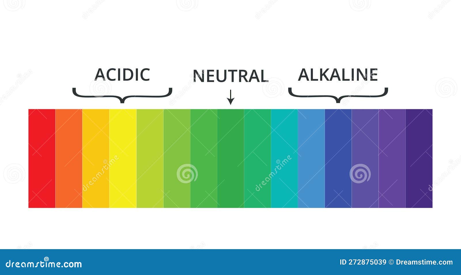 Ph Scale With Labels And Spectrum Indicators Stock Vector Illustration Of Care Acidic 272875039 ph-scale-with-labels-and-spectrum-indicators-stock-vector-illustration-of-care-acidic-272875039