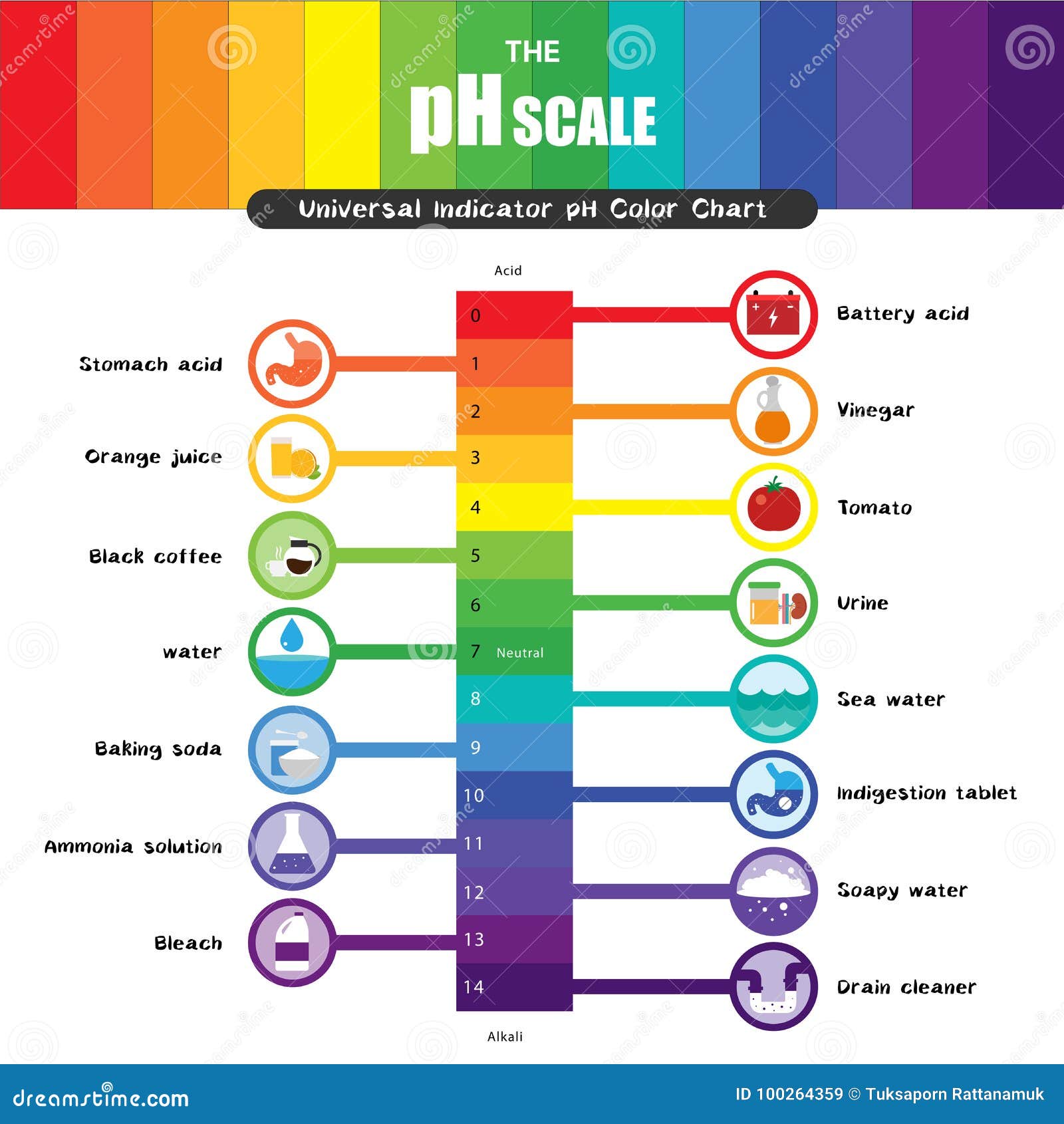 Universal Scale Chart