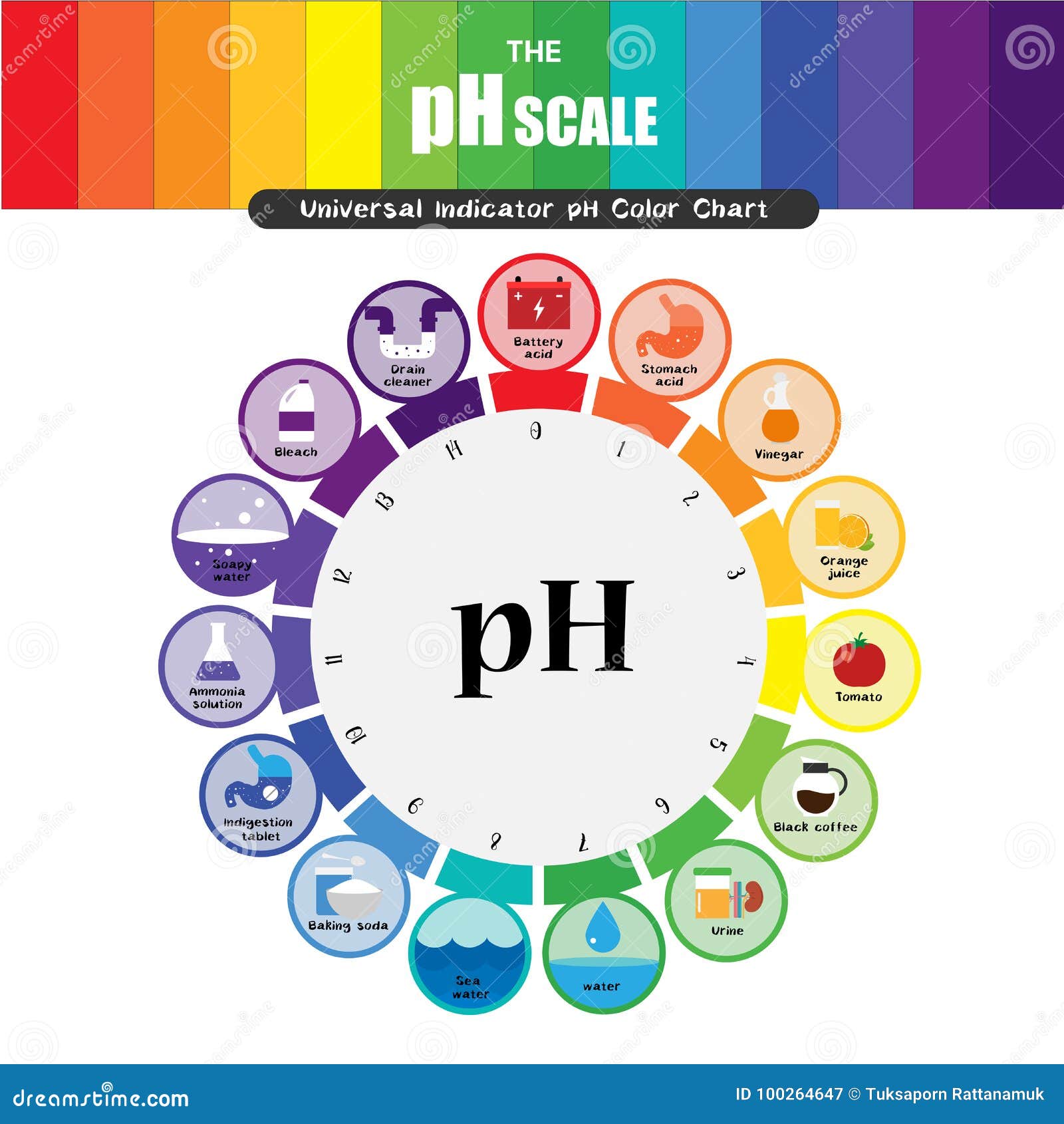 Universal Scale Chart