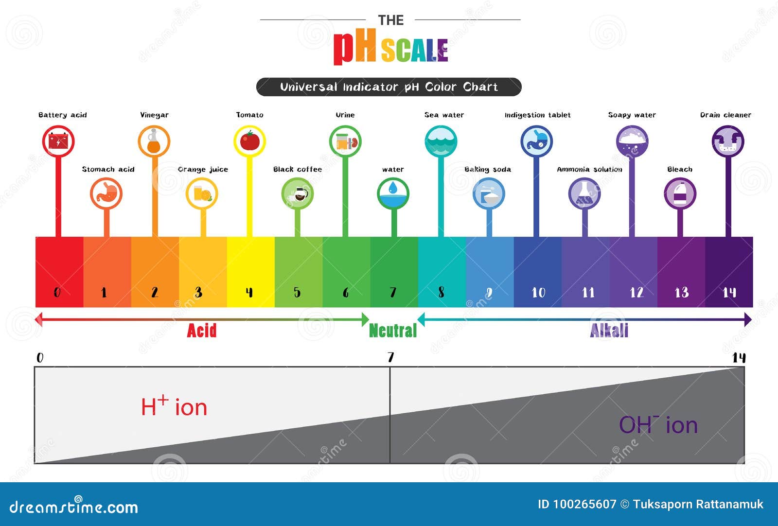 Acidic Vs Alkaline Ph Chart