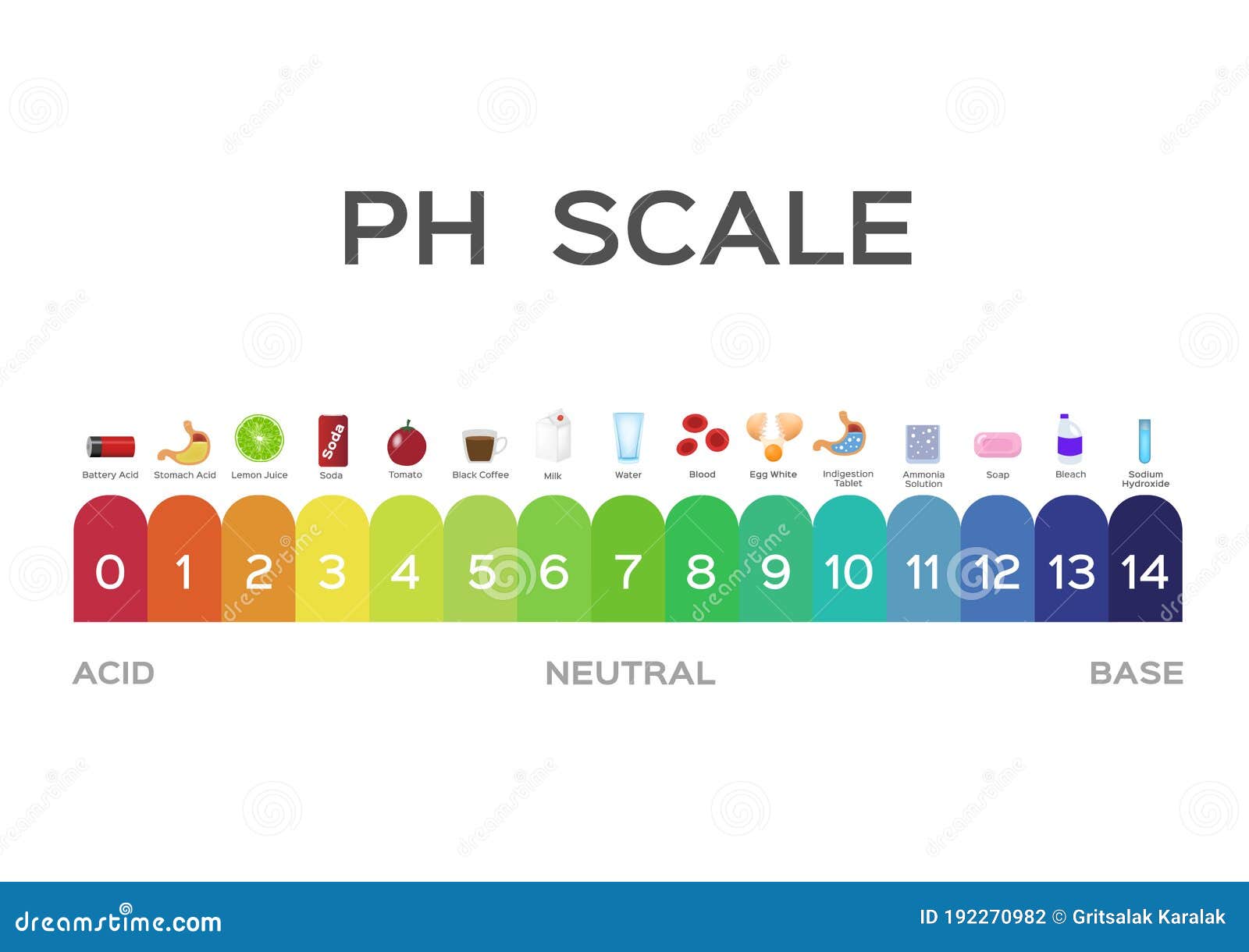 PH Scale. Litmus Paper Color Chart. Vector Illustration | CartoonDealer