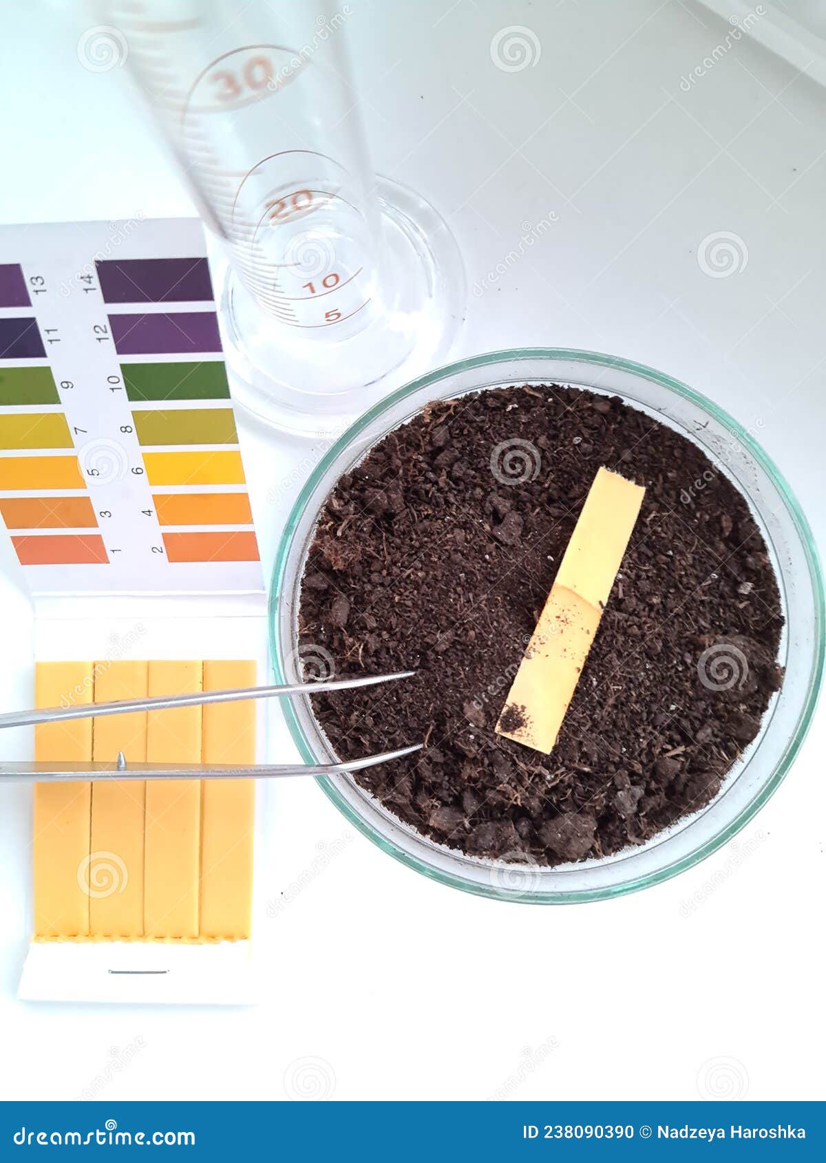 PH Test Strip Showing Quality of Soil Sample Closeup Stock Photo
