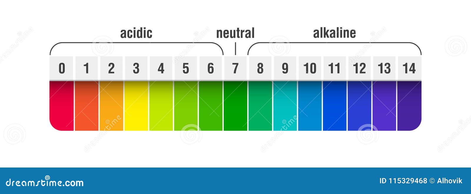 Ph Value Scale Chart Stock Vector  Illustration Of Chart