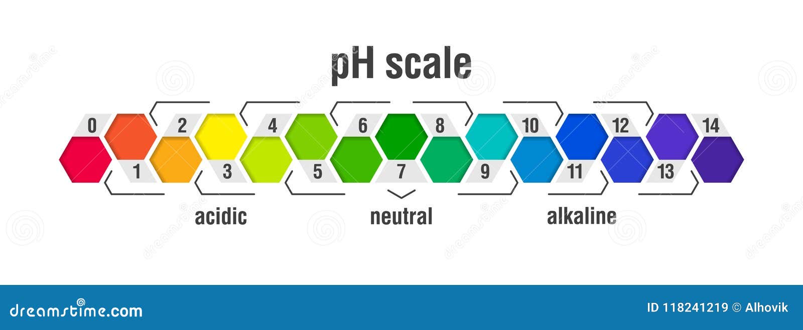 Ph Value Chart Of Acids And Bases