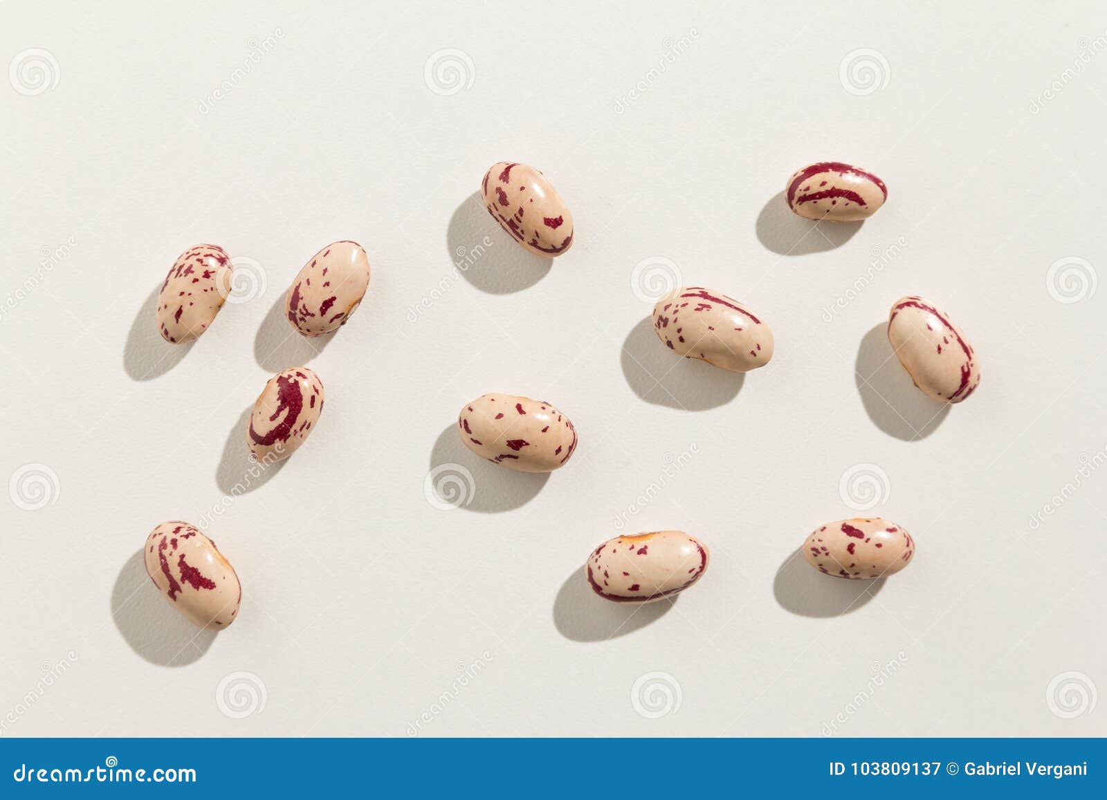 sugar bean legume. top view of scattered grains.