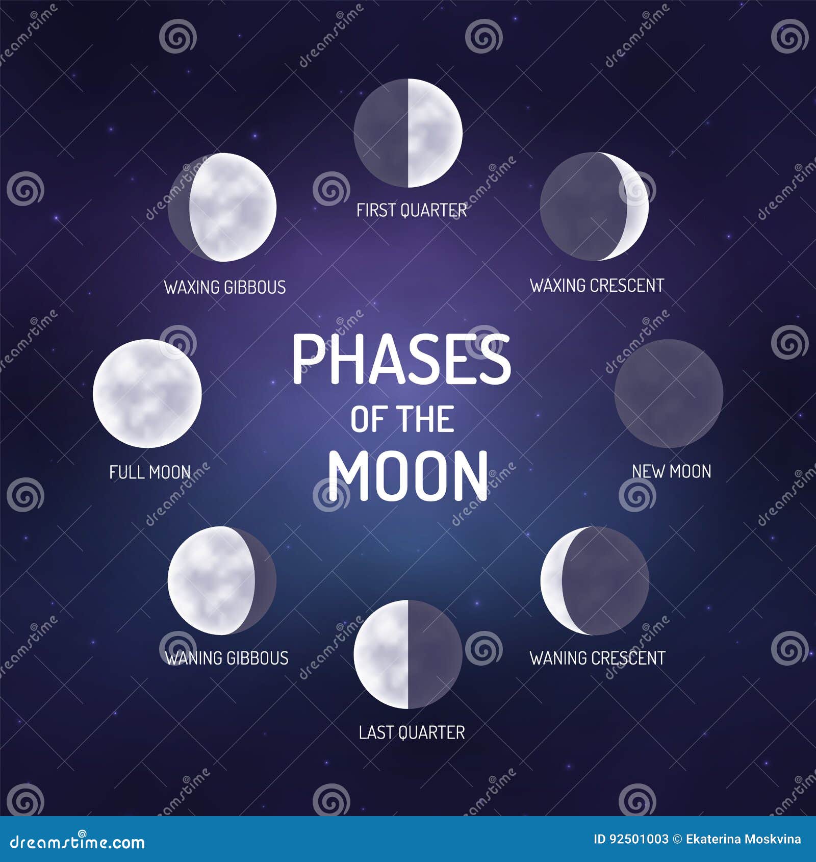 Phases of the moon stock vector. Illustration of moon - 92501003