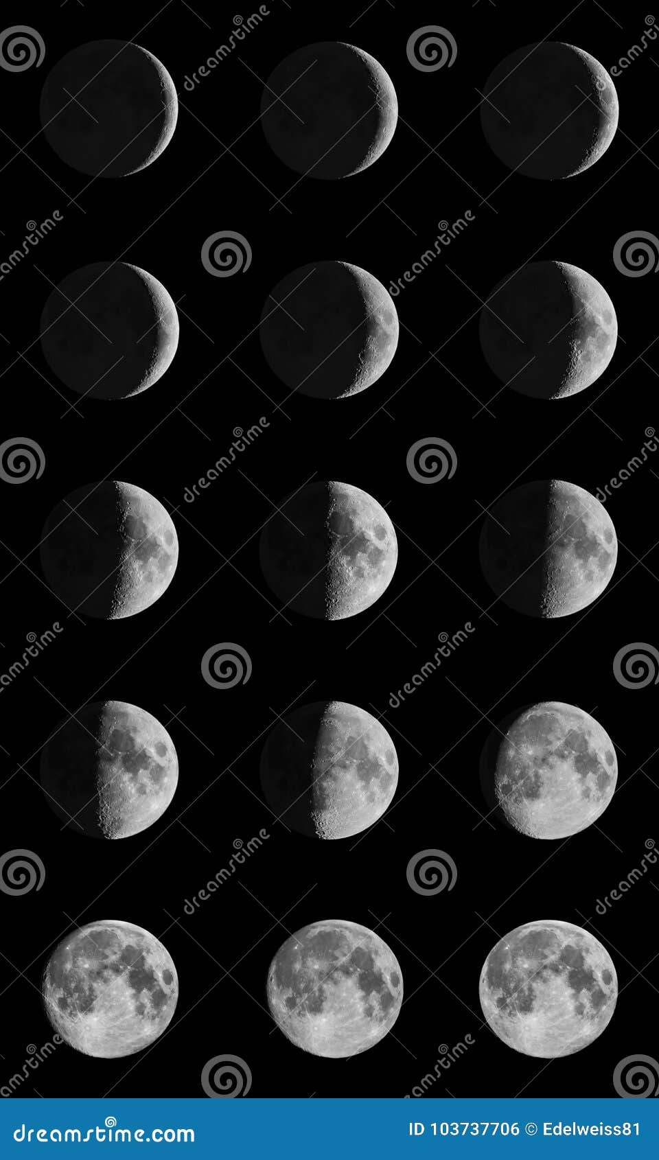 Phases of the Moon stock photo. Image of halloween, craters - 103737706