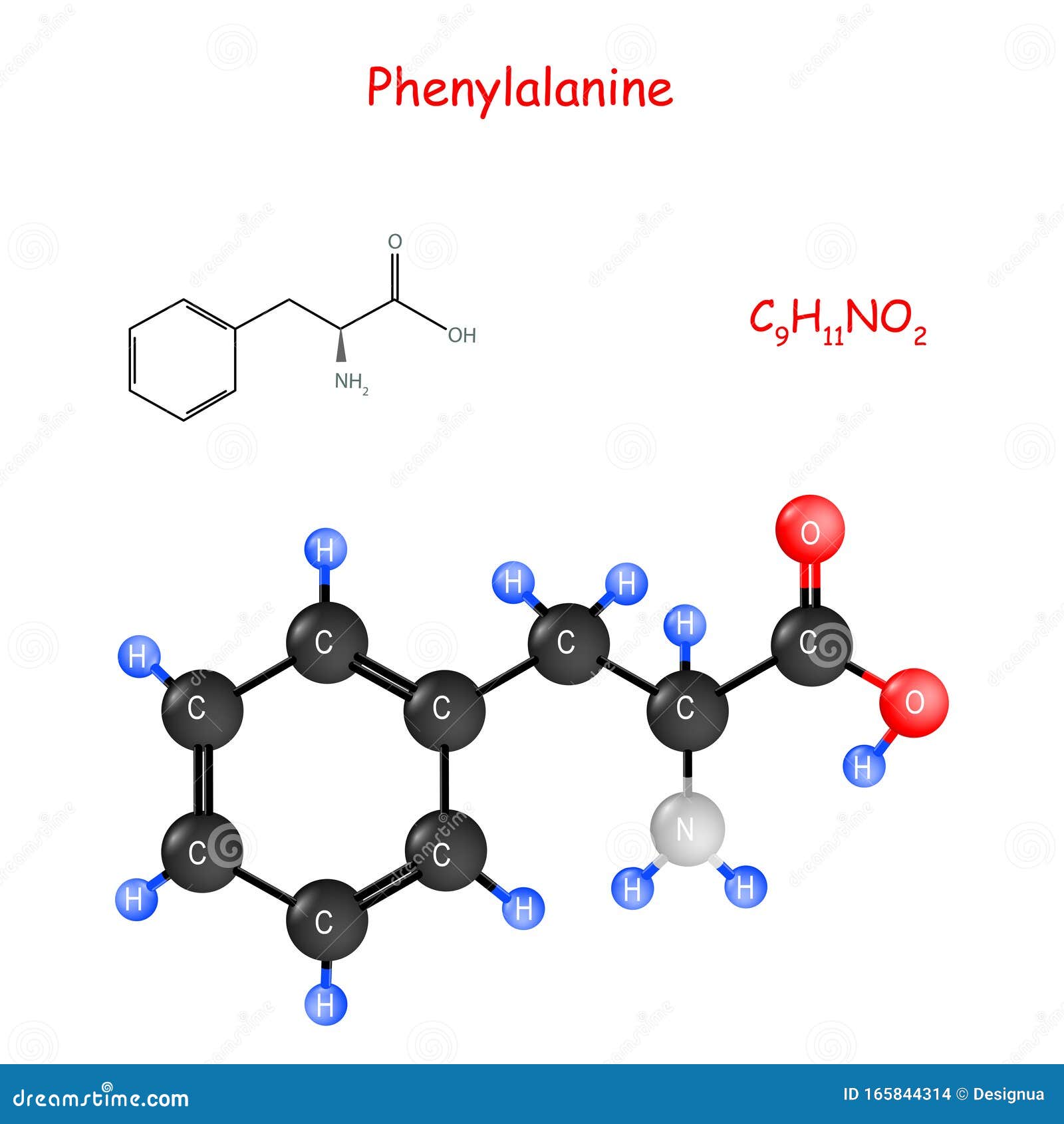 Phenylalanine. Chemical Structural Formula And Model Of Molecule Stock ...
