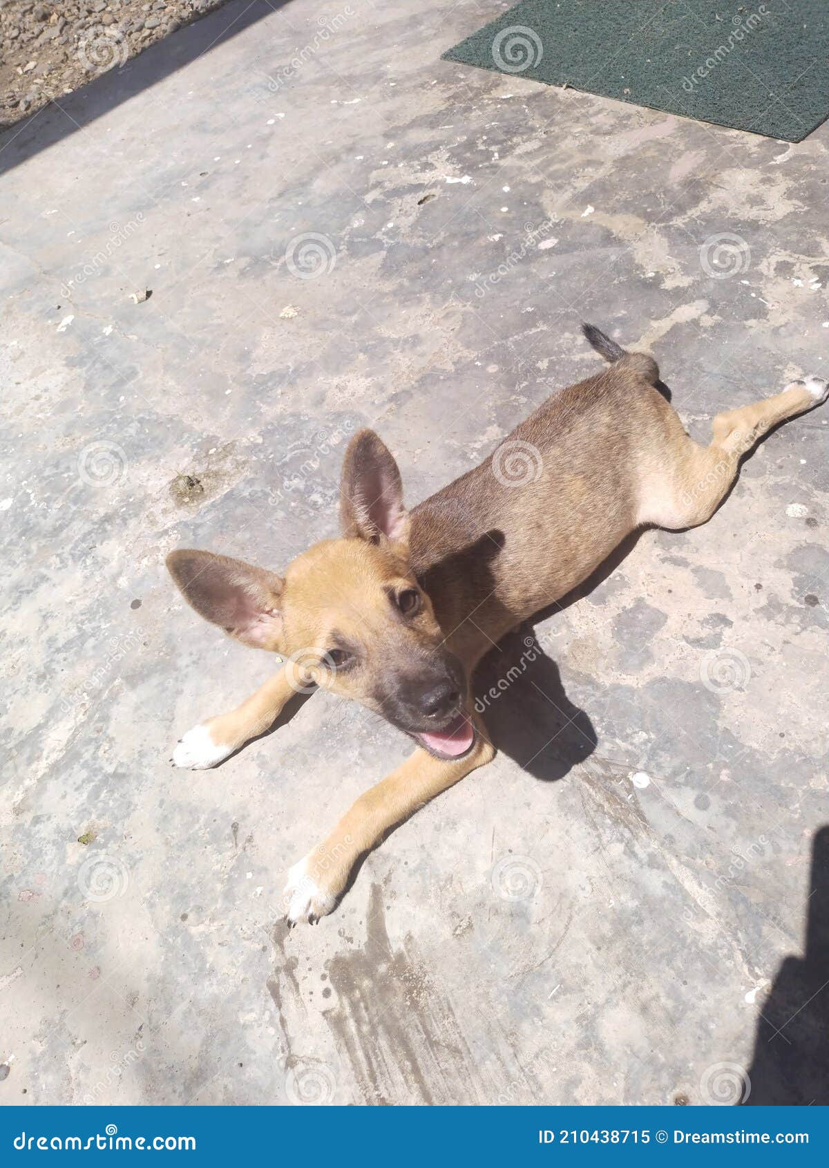Philippine Native Product Sleeping Mat Stock Photo