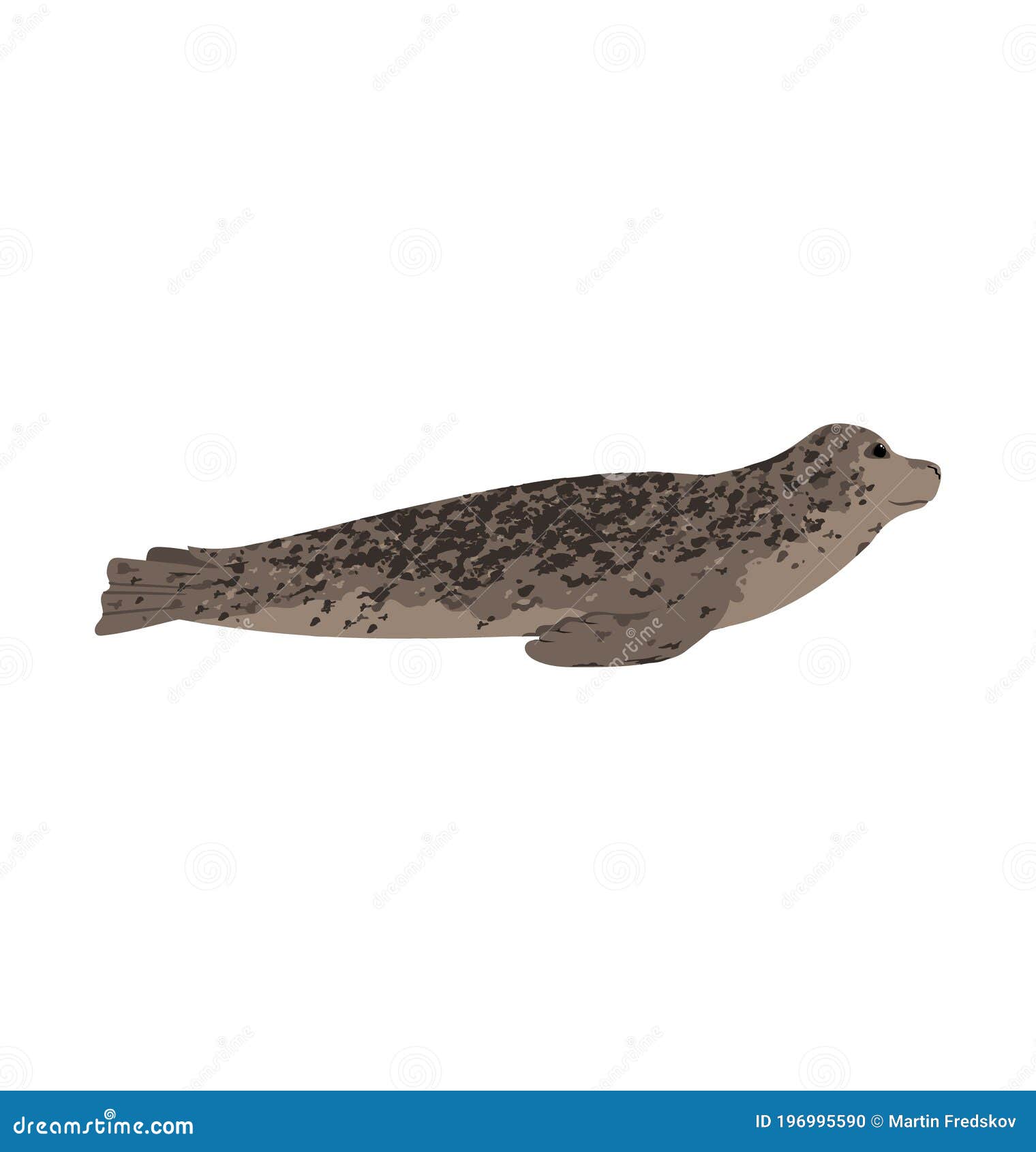 公用印章说谎 看照相机 海豹属vitulina Stock Illustrations 161 公用印章说谎 看照相机 海豹属vitulina Stock Illustrations Vectors Clipart Dreamstime 公用印章说谎 看照相机 海豹属vitulina Stock Illustrations 161 公用印章说谎 看照相机 海豹属vitulina Stock Illustrations Vectors Clipart Dreamstime