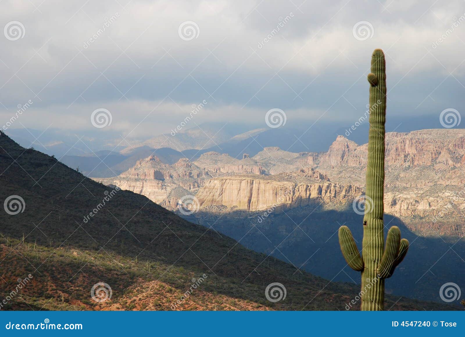 phoenix, arizona. apache trail scenery