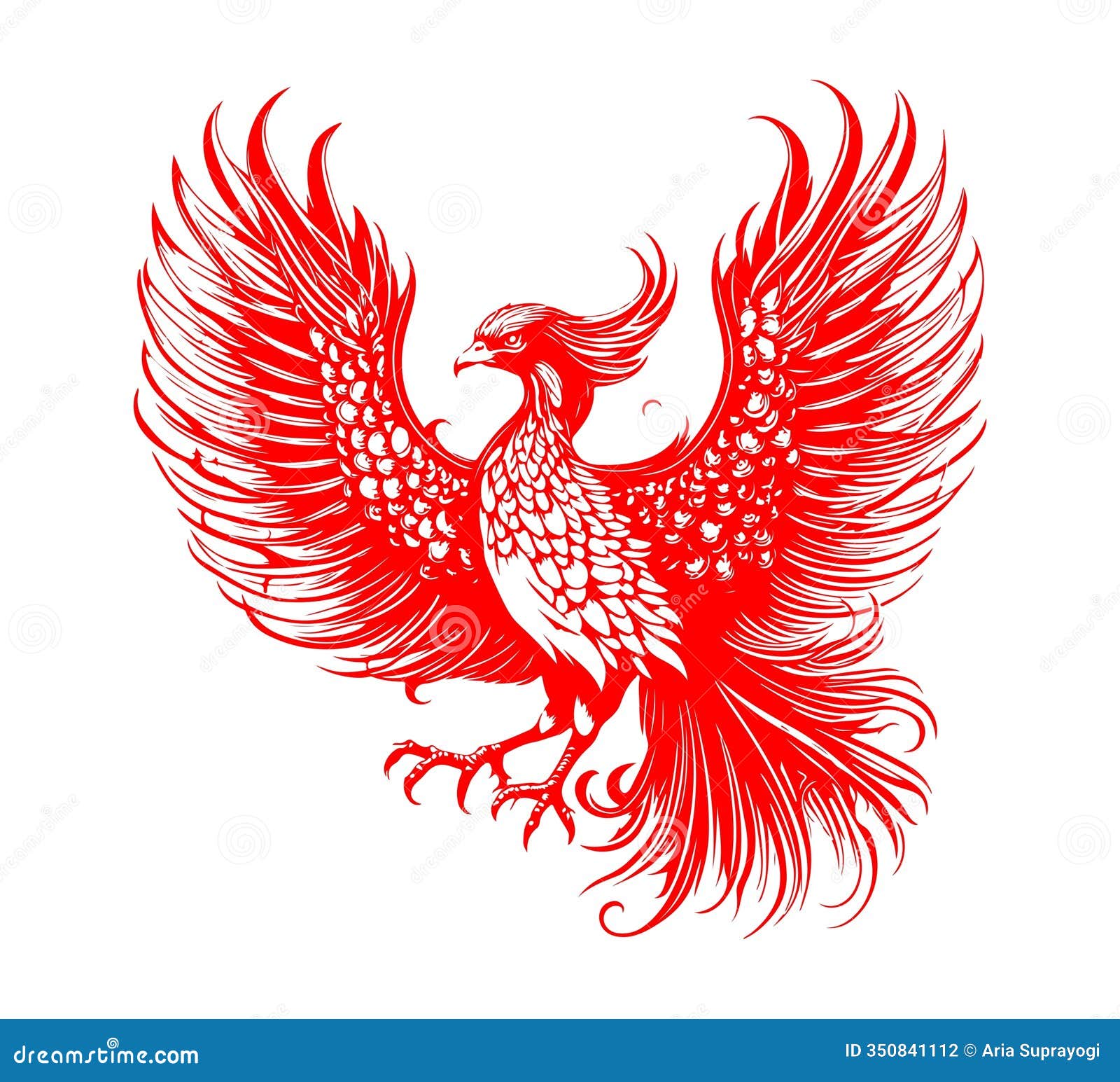 phoenix bird hand drawn  graphic asset