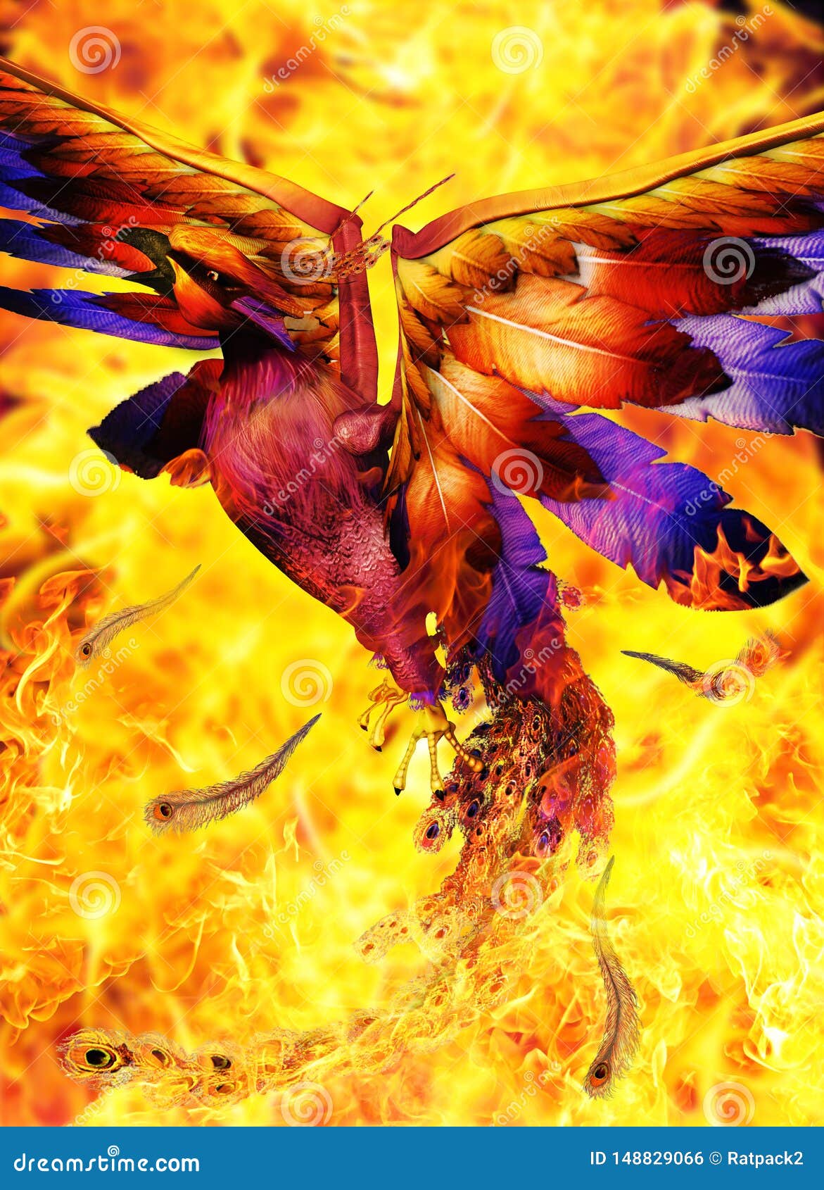 Pictures phoenix rising 