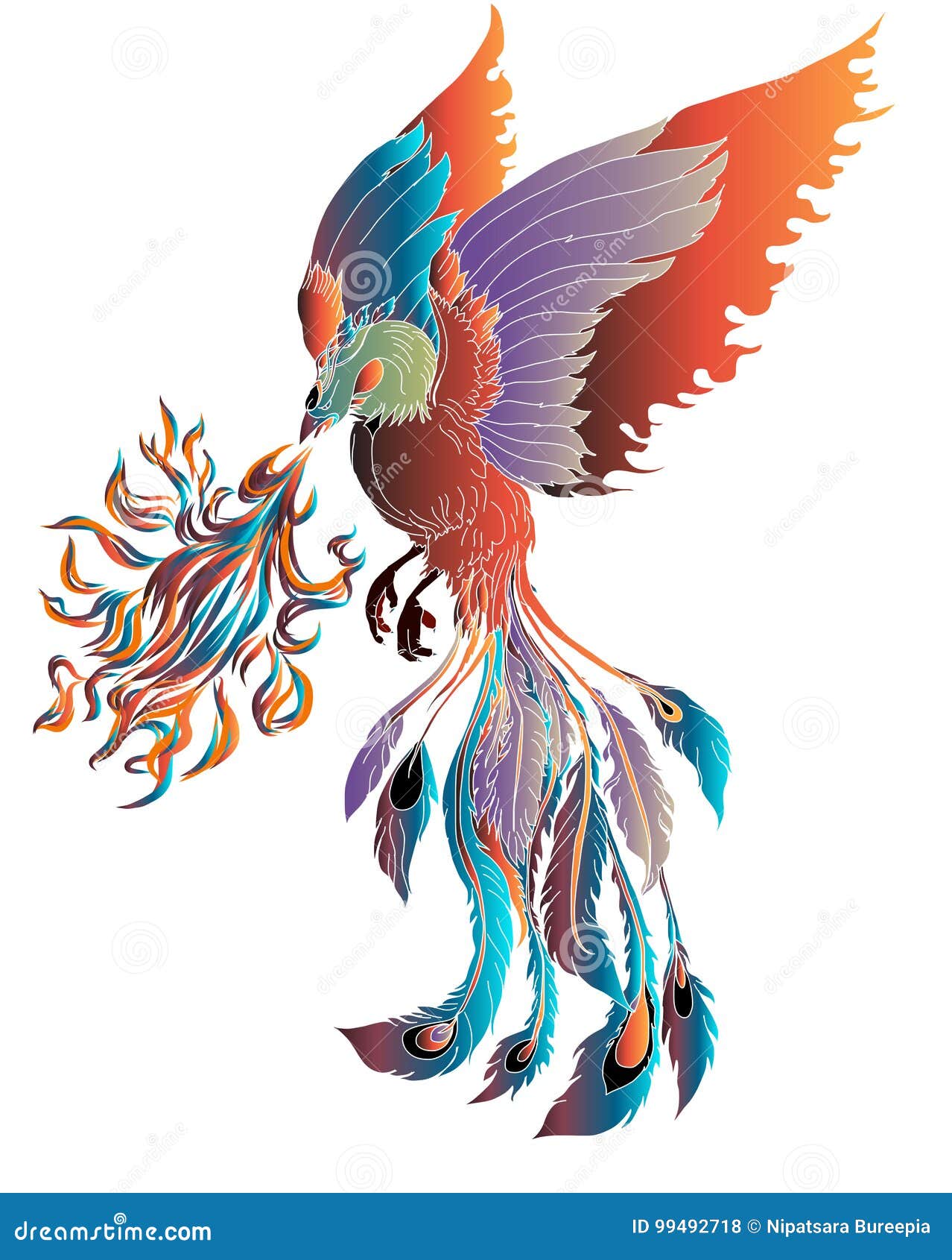 phoenix fire bird  and character .hand drawn phoenix tattoo