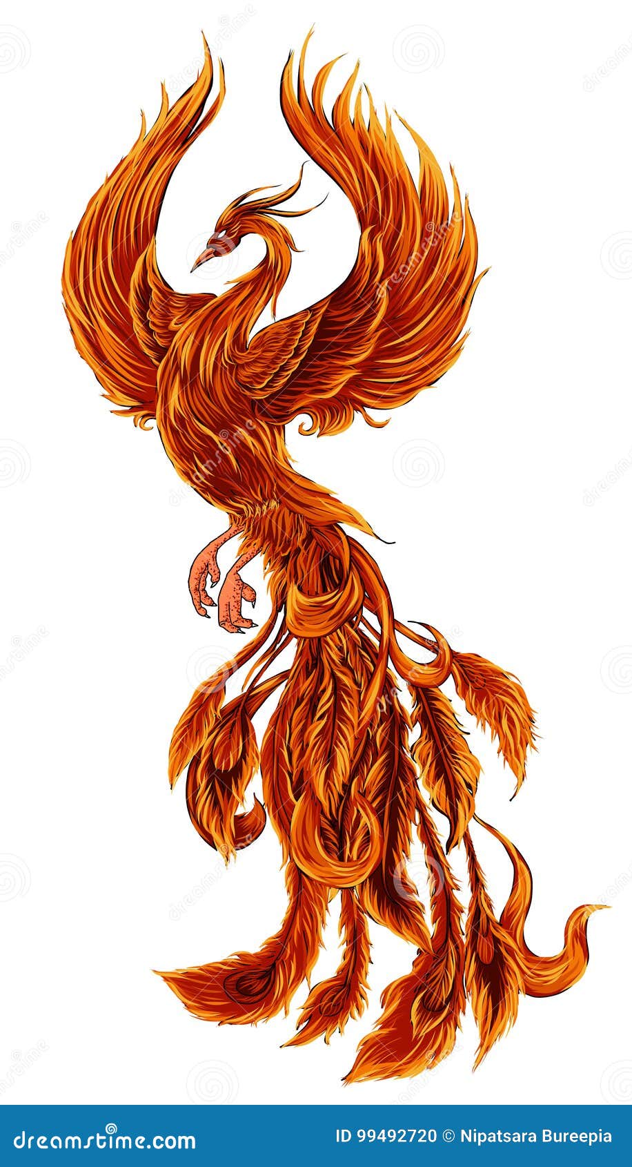 phoenix fire bird  and character . hand drawn phoenix tattoo