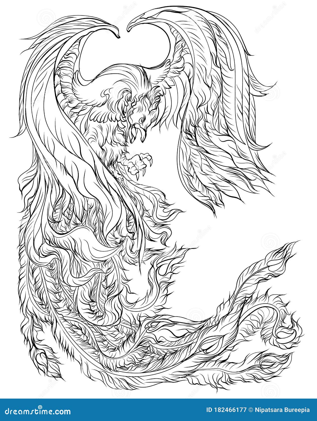 Phoenix Fire Bird Illustration and Character Design. Stock Illustration -  Illustration of concept, design: 182466177