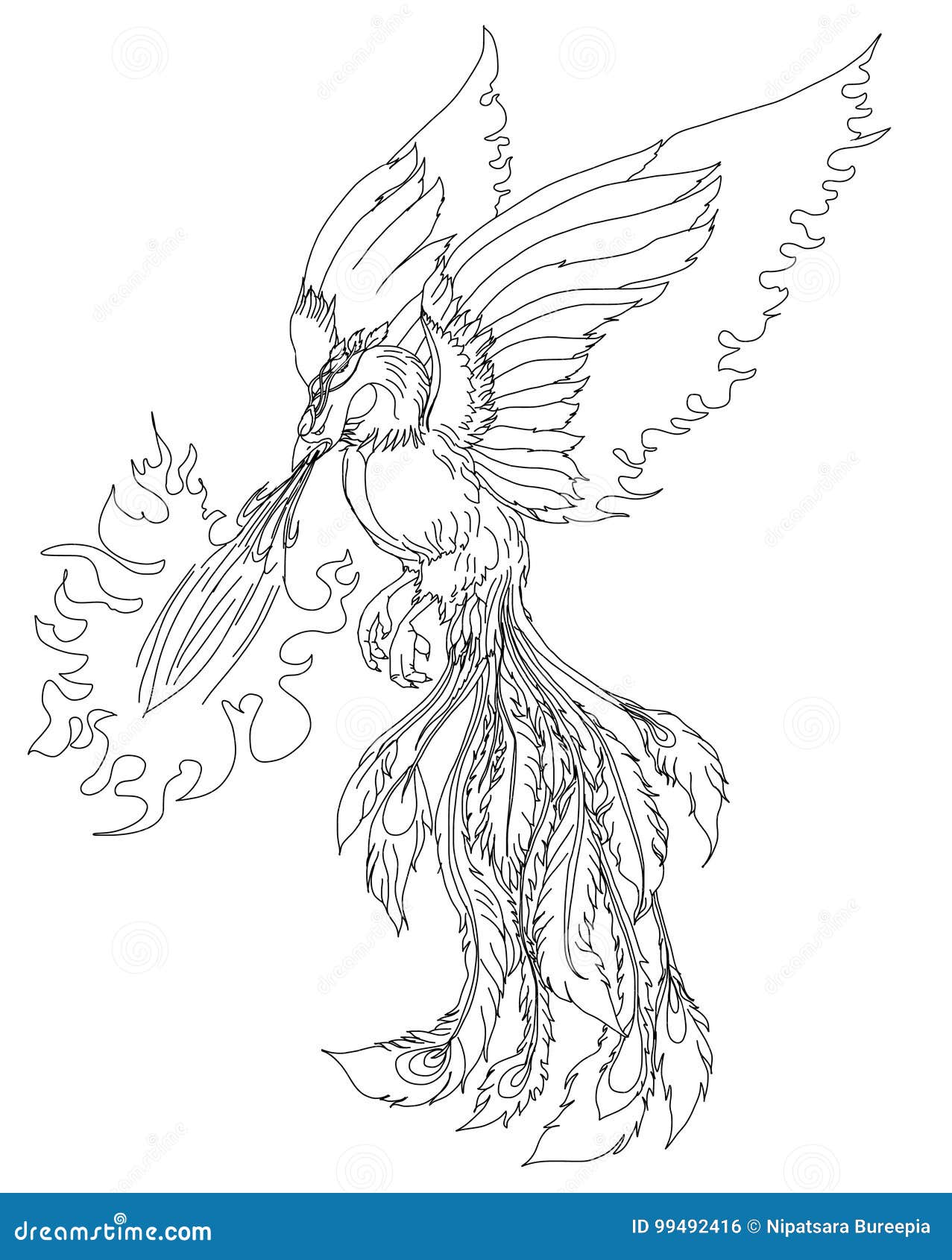 phoenix fire bird  and character .