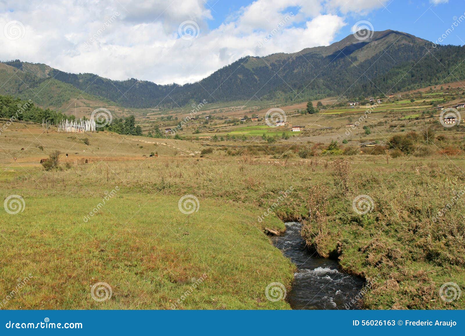 phojika valley - bhutan