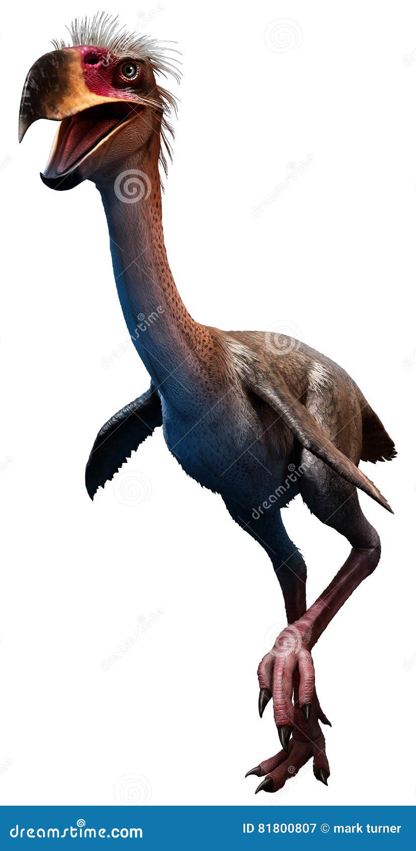 Miocene Epoch: Phorusrhacos Is An Extinct Giant Flightless Terror Bird That Lived In It Stood About … Prehistoric Animals, Dinosaur, Animal Drawings | A Colony Of Nesting Female Phorusrhacos During The Miocene Miocene Epoch: Phorusrhacos Is An Extinct Giant Flightless Terror Bird That Lived In It Stood About … Prehistoric Animals, Dinosaur, Animal Drawings | A Colony Of Nesting Female Phorusrhacos During The Miocene