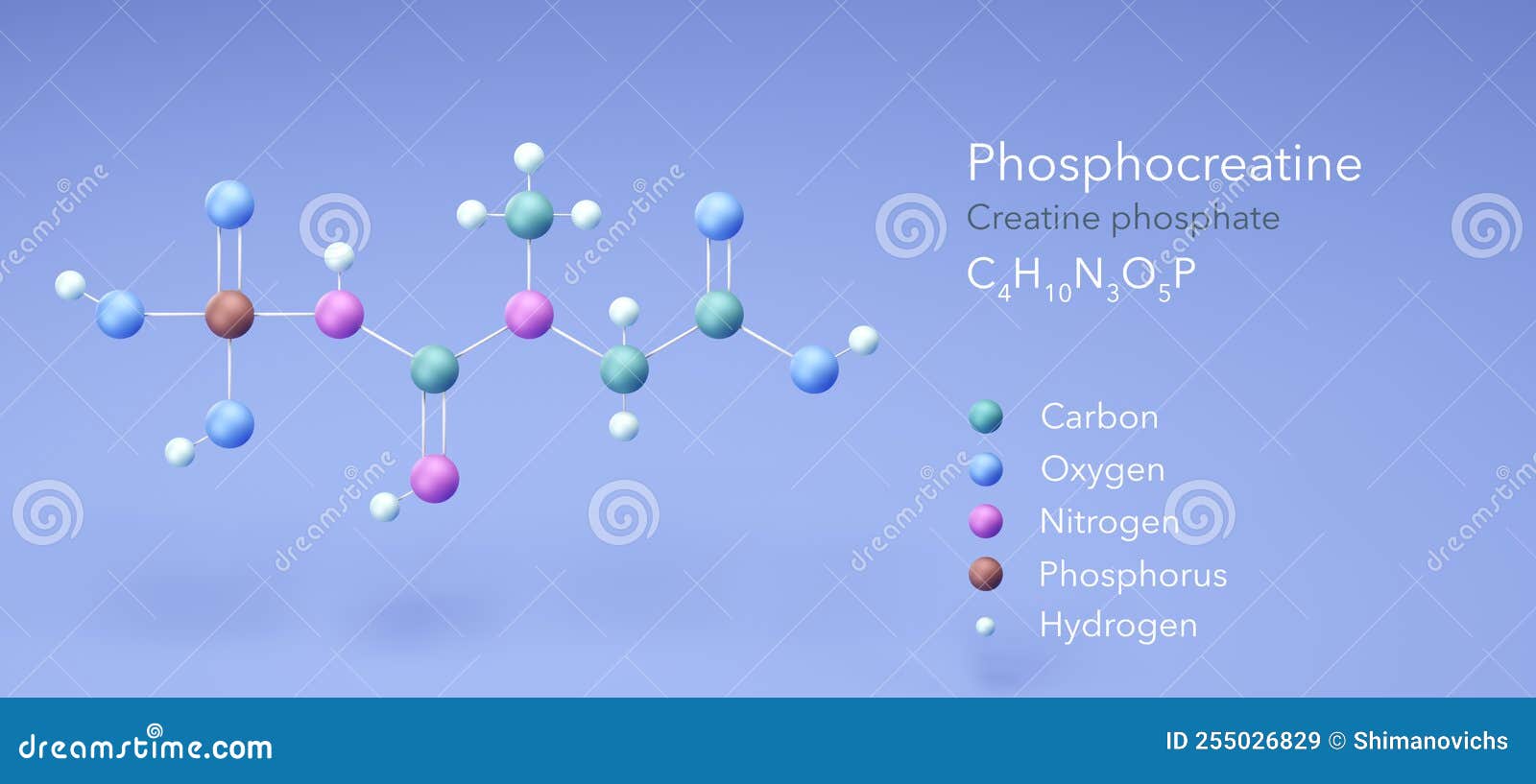 phosphocreatine, creatine phosphate, molecular structures, 3d model, structural chemical formula and atoms with color coding