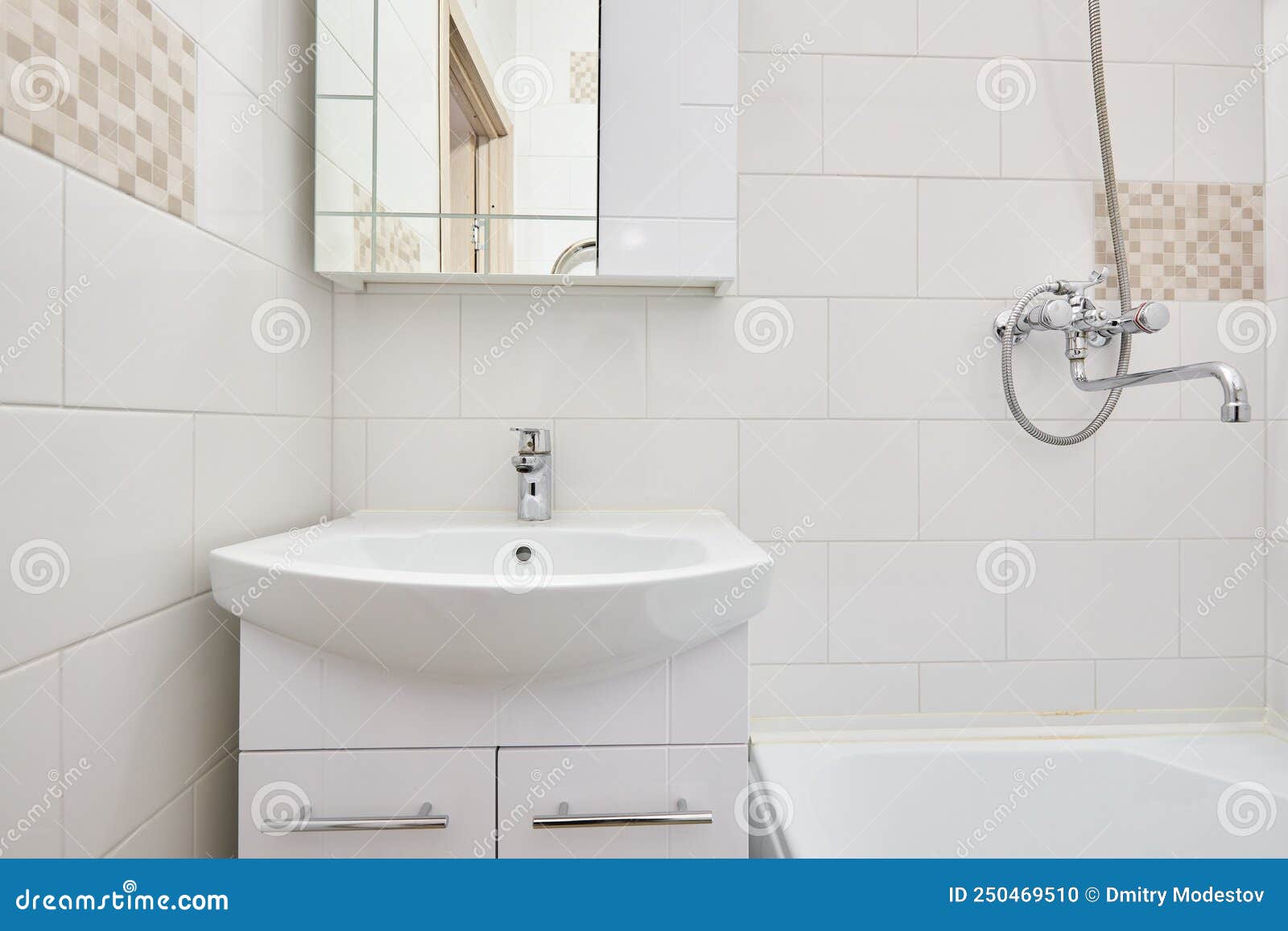 Photo of a Bathroom in a Studio Apartment Stock Photo Image of ideas
