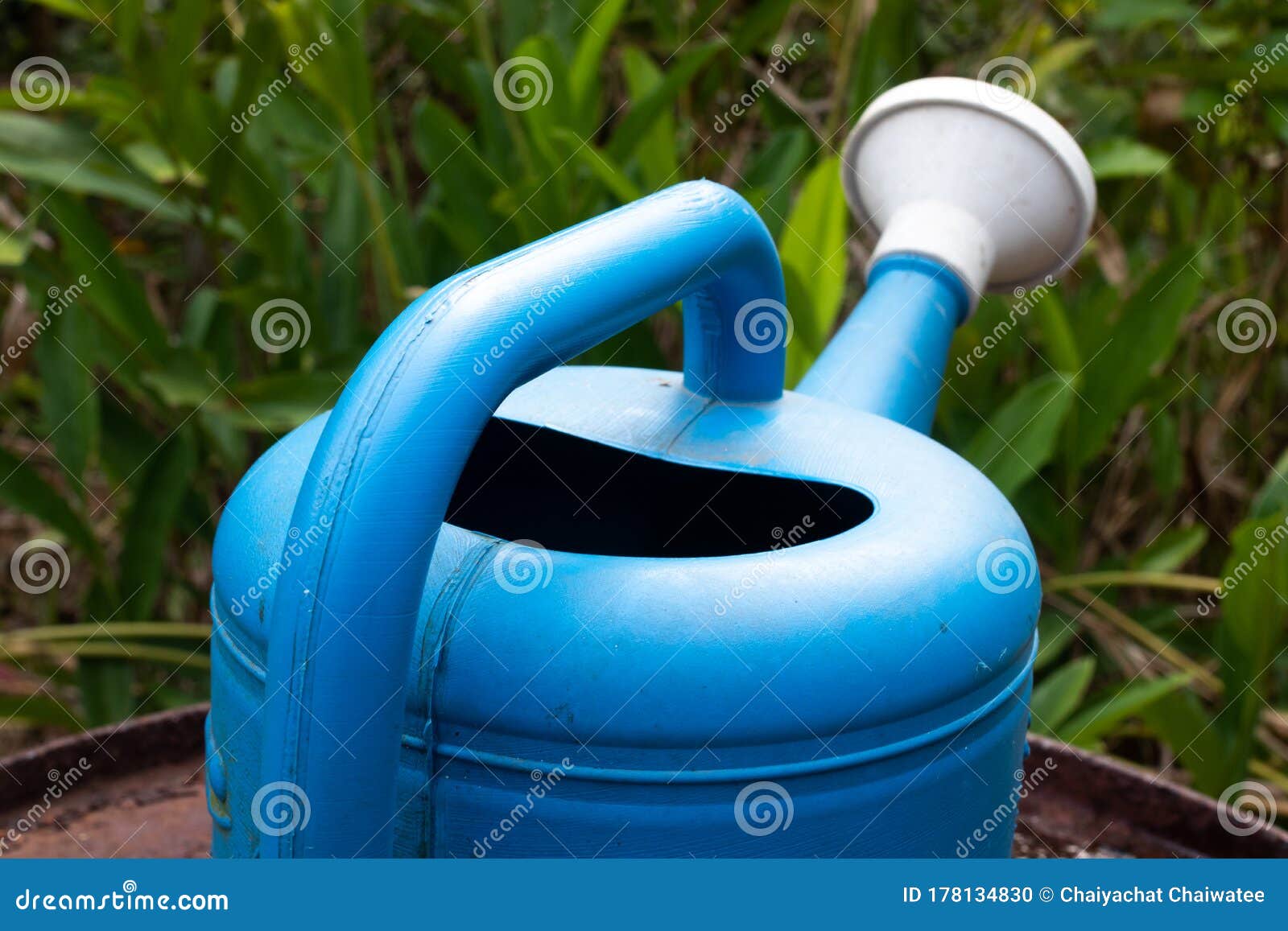 Blue Watering Can in the Garden. Stock Photo Image of metallic, view