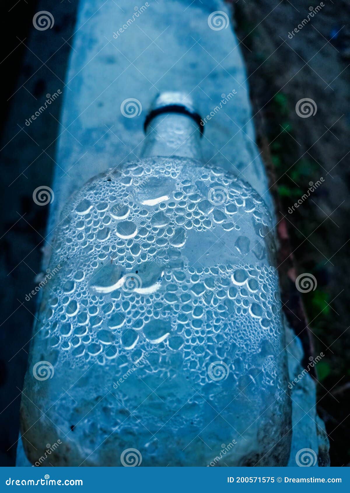 A Photo of a Bottle Which is Full of Water Bubbles. Stock Image Image of pole, frog 200571575