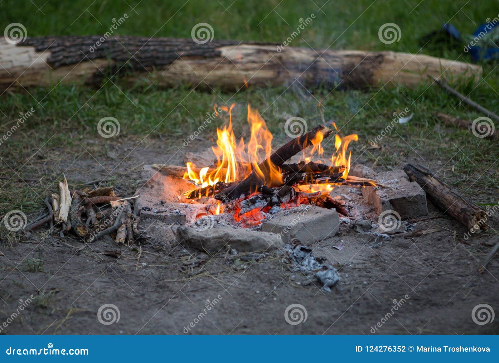 Photo of Campfire on Glade in Forest Stock Photo - Image of orange ...