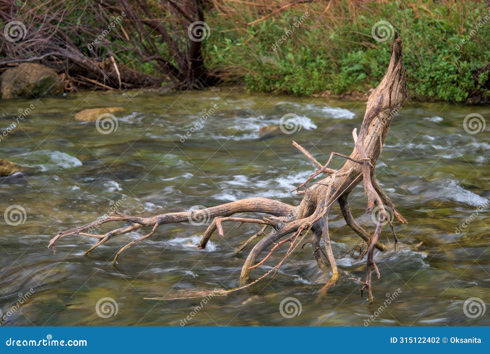 this photo captures the serenity of a branch resting in river water.