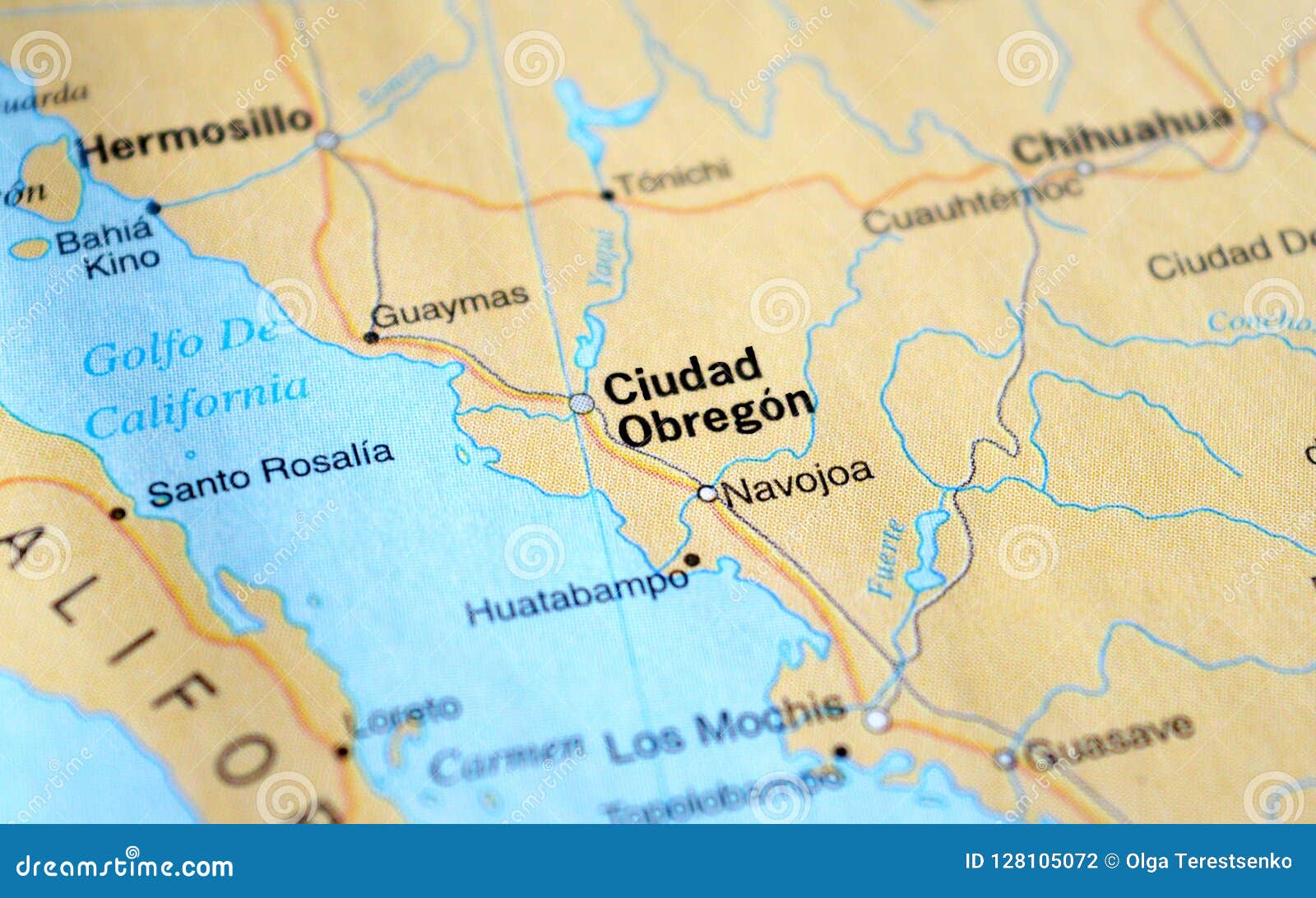 a photo of ciudad obregon on a map