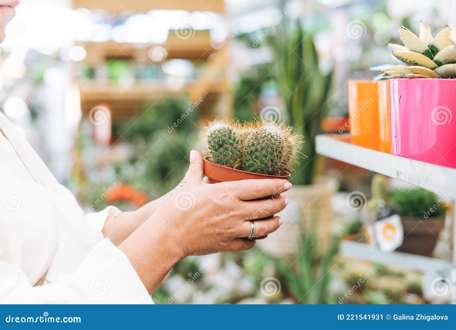 Jeune Femme Fertilisant Une Plante De Cactus à La Maison