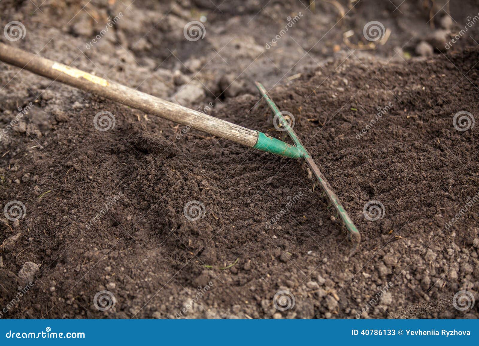 Photo de râteau de jardin sur le lit. Photo de plan rapproché de râteau de jardin sur le lit