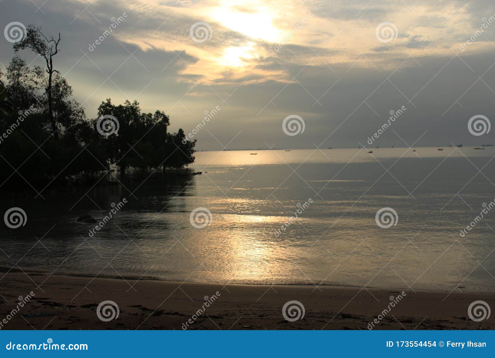 the atmosphere of the trees on pasir padi beach at sunrise