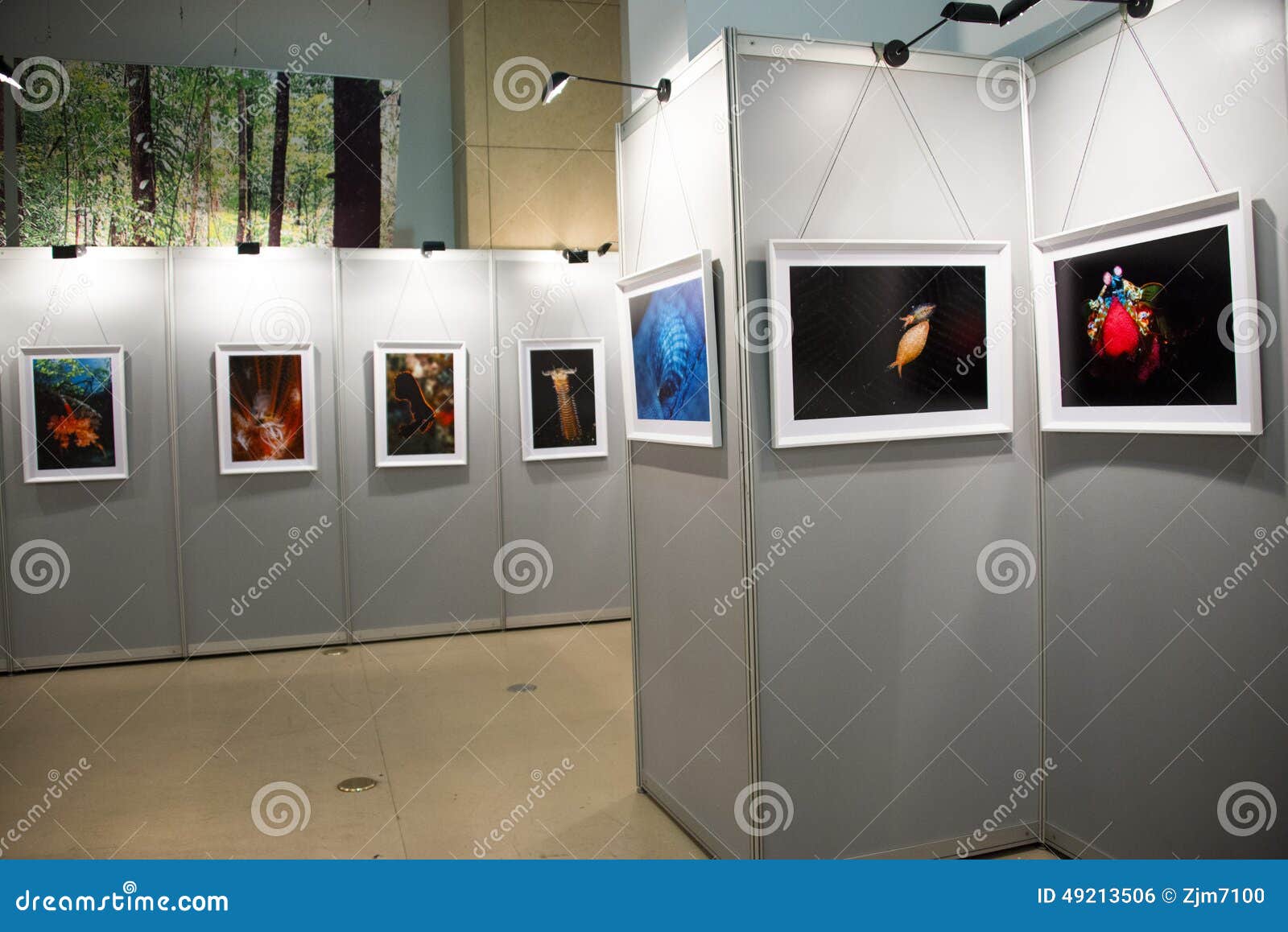 The Photo Exhibition, the Exhibition Hall Editorial Photo - Image of asian, life: 49213506 The Photo Exhibition, the Exhibition Hall Editorial Photo - Image of asian, life: 49213506