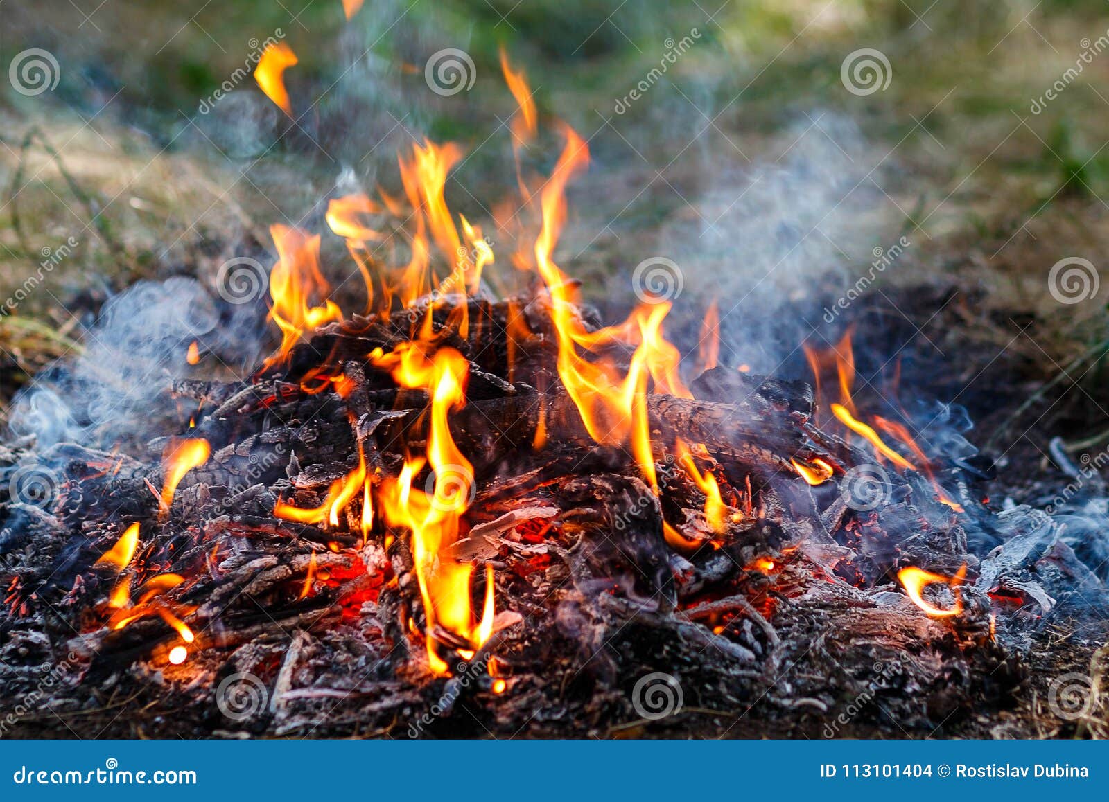 Photo of the Fire. Burning Fire with Tongues of Flame Stock Photo ...