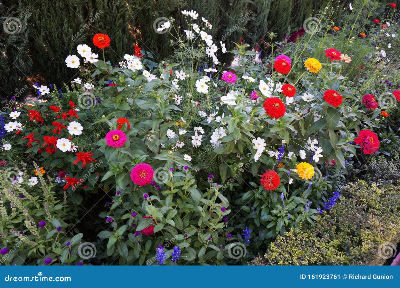 Alhambra Flowers in Granada Spain Stock Image Image of europe, green