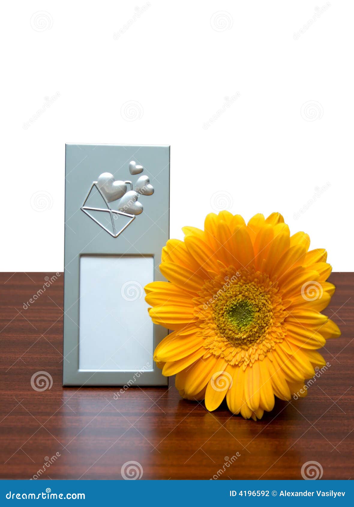 Photo frame and flower stock photo. Image of flower, white 4196592