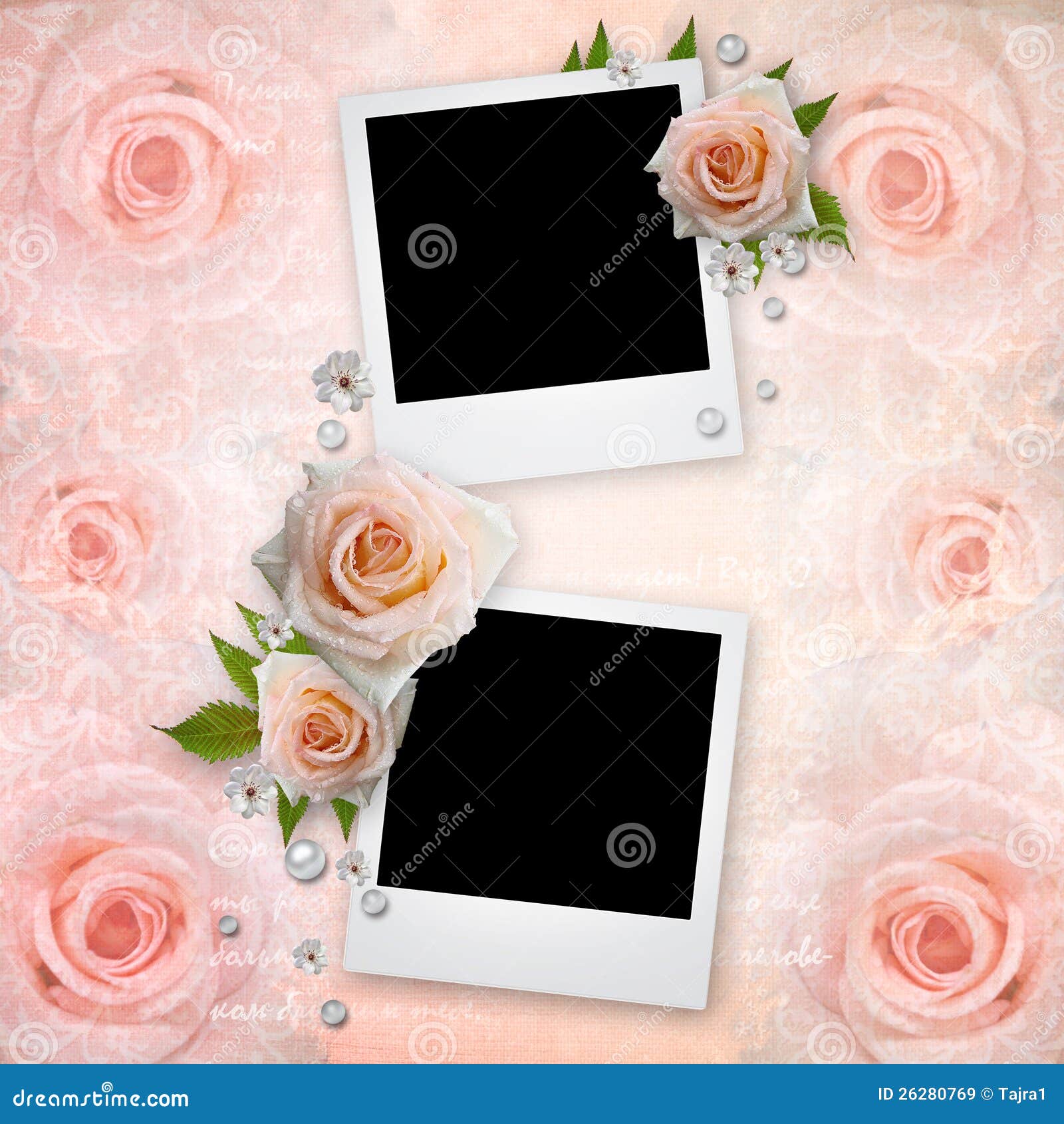 Photo Frames with Pink Roses Stock Illustration Illustration of
