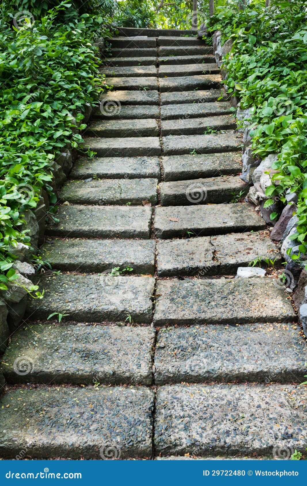 Garden passage stock photo. Image of pasture, path, botanical 29722480