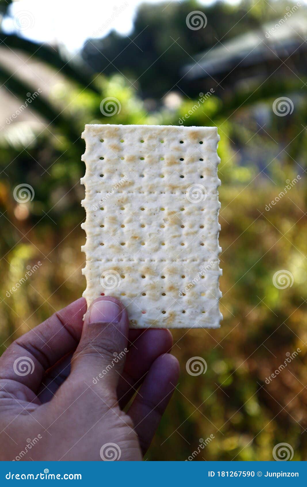 Soda Cracker Stack Closeup, Large Detailed Isolated Square Crisp Whole