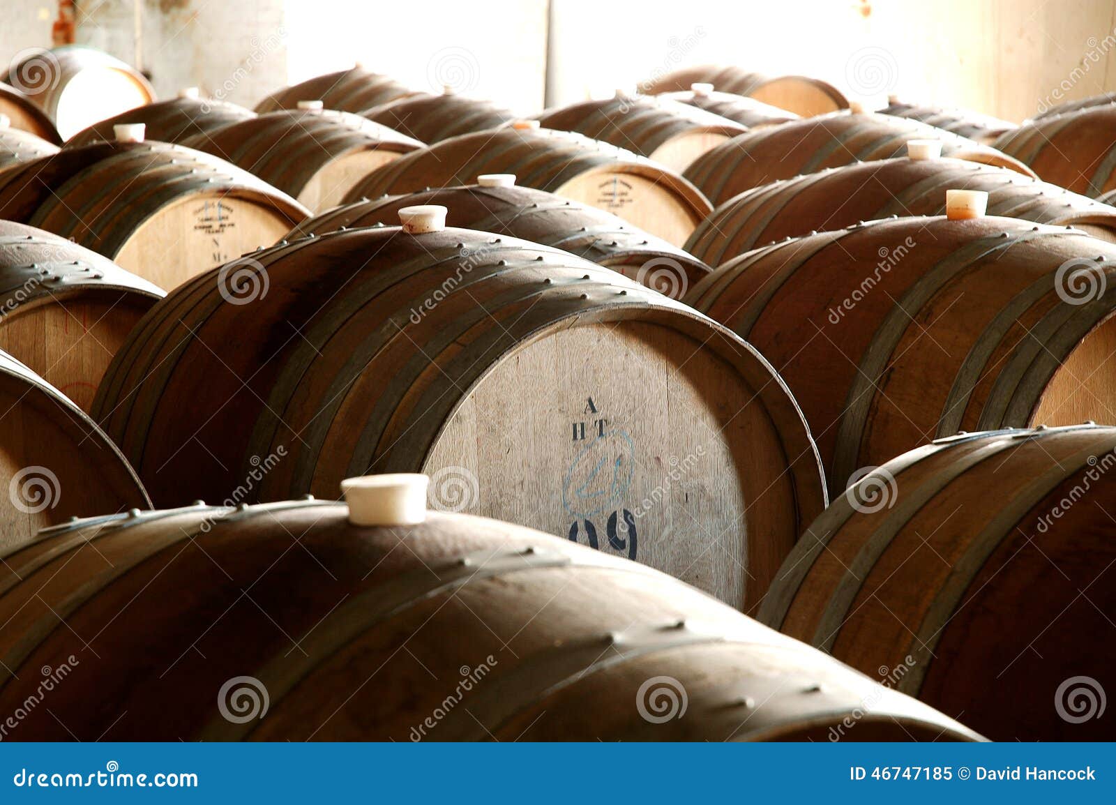 photo of historical wine barrels in cellar