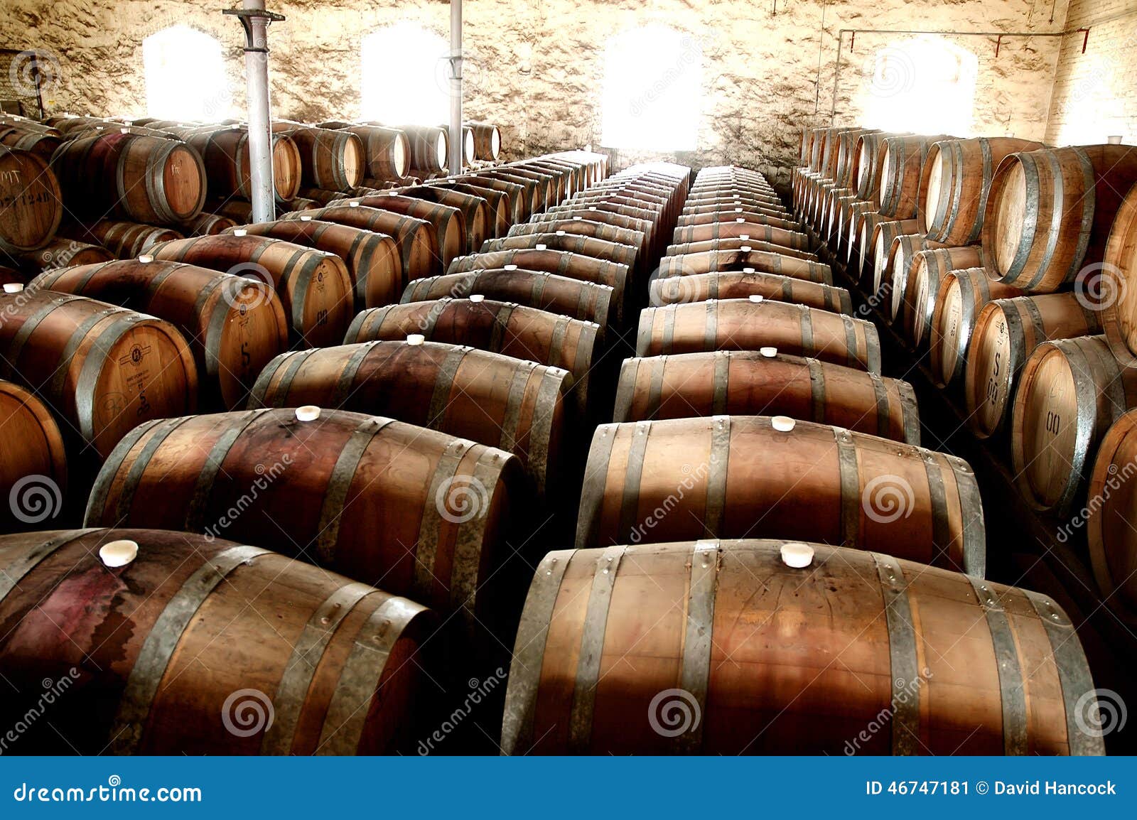 photo of historical wine barrels in a row