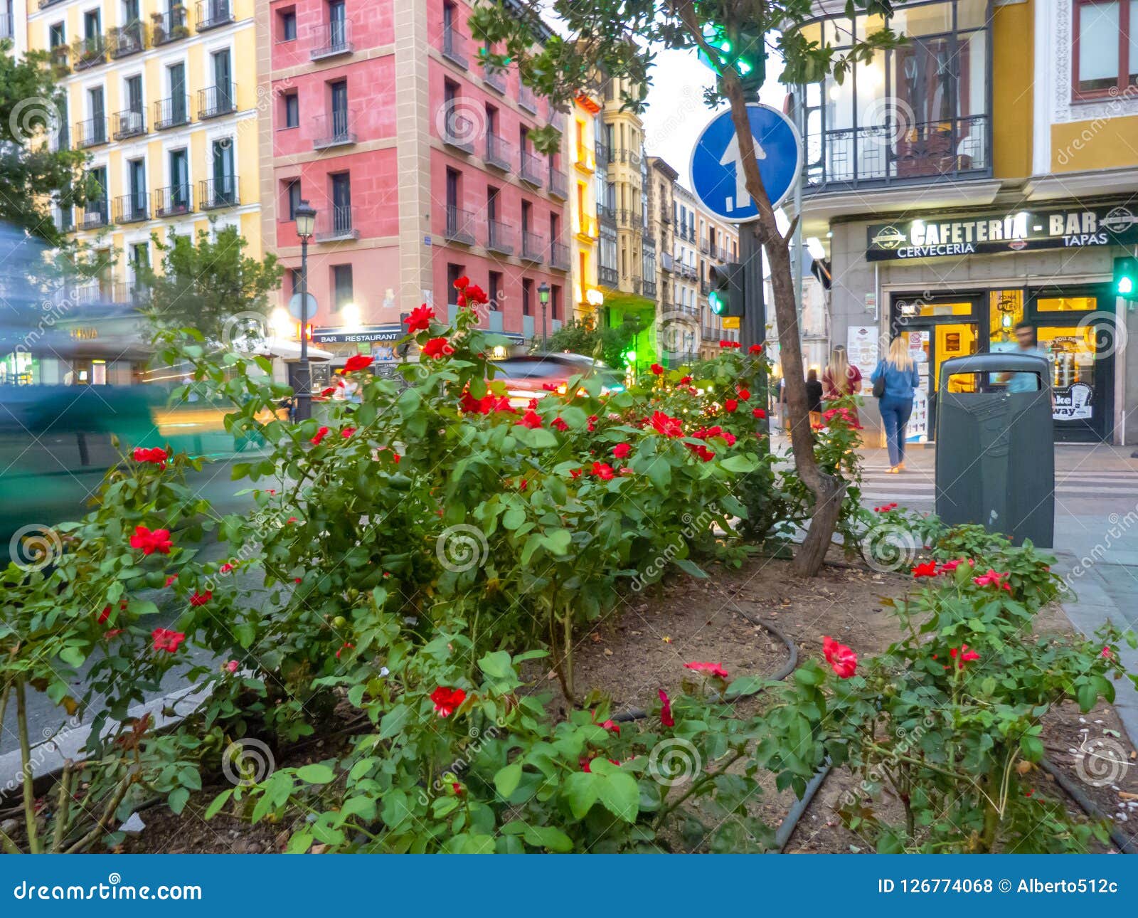 Little Garden In The Street Editorial Stock Photo Image Of